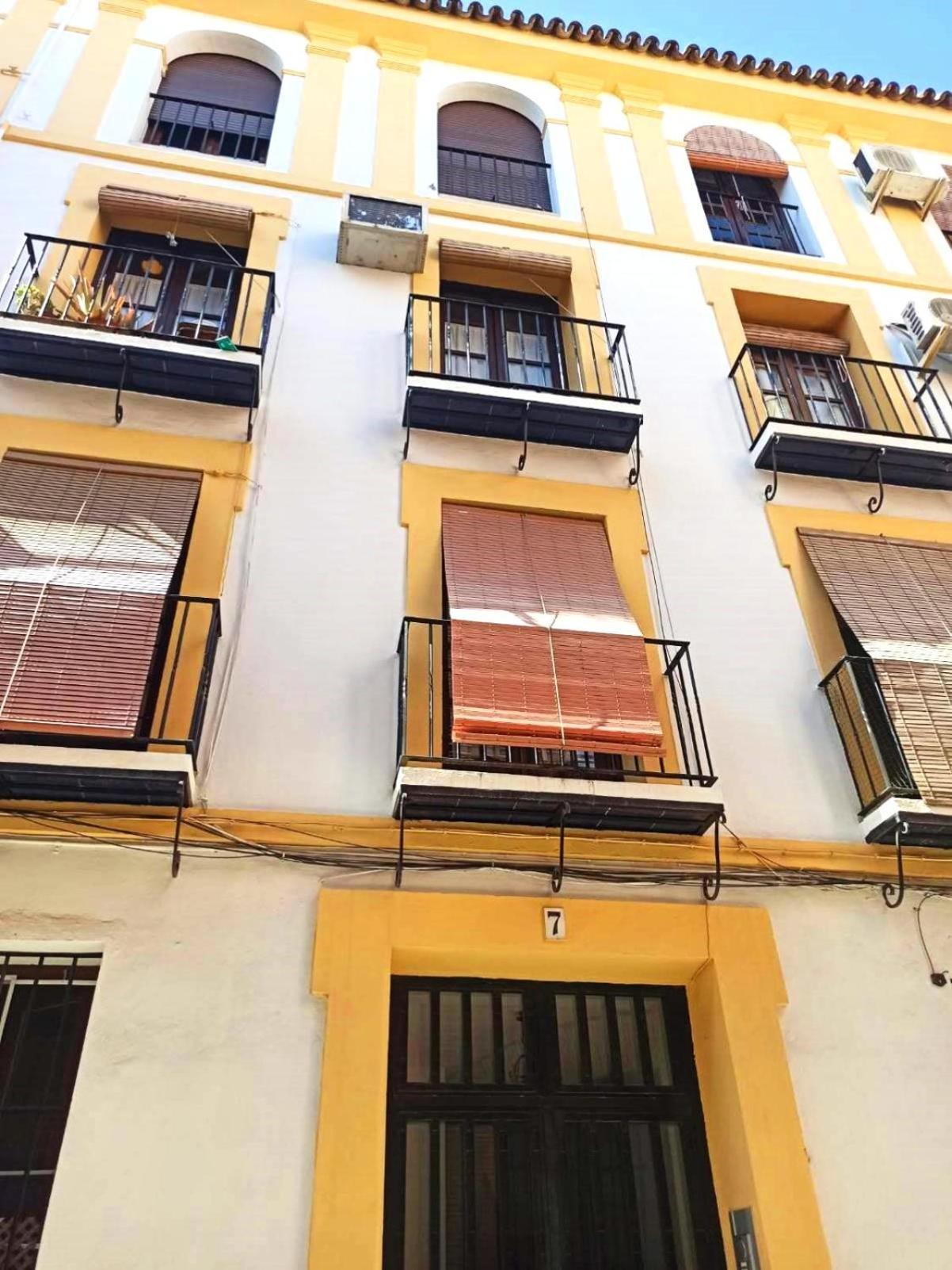 Azahar Museo Lejlighed Sevilla Eksteriør billede